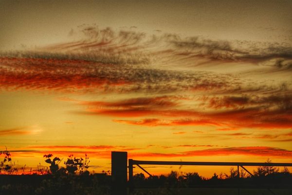 Farm Gate Sunset